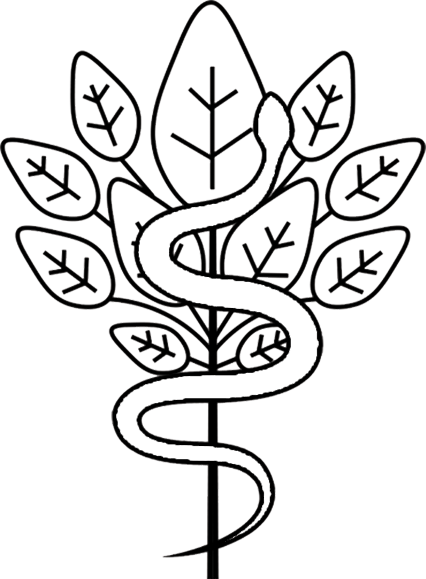 Panevėžio lopšelis-darželis ,,Žilvinas“